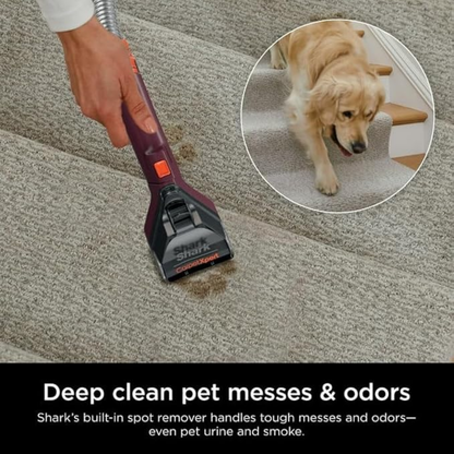 DeepClean™ Vacuum – Removes stains, odors, and moisture in minutes